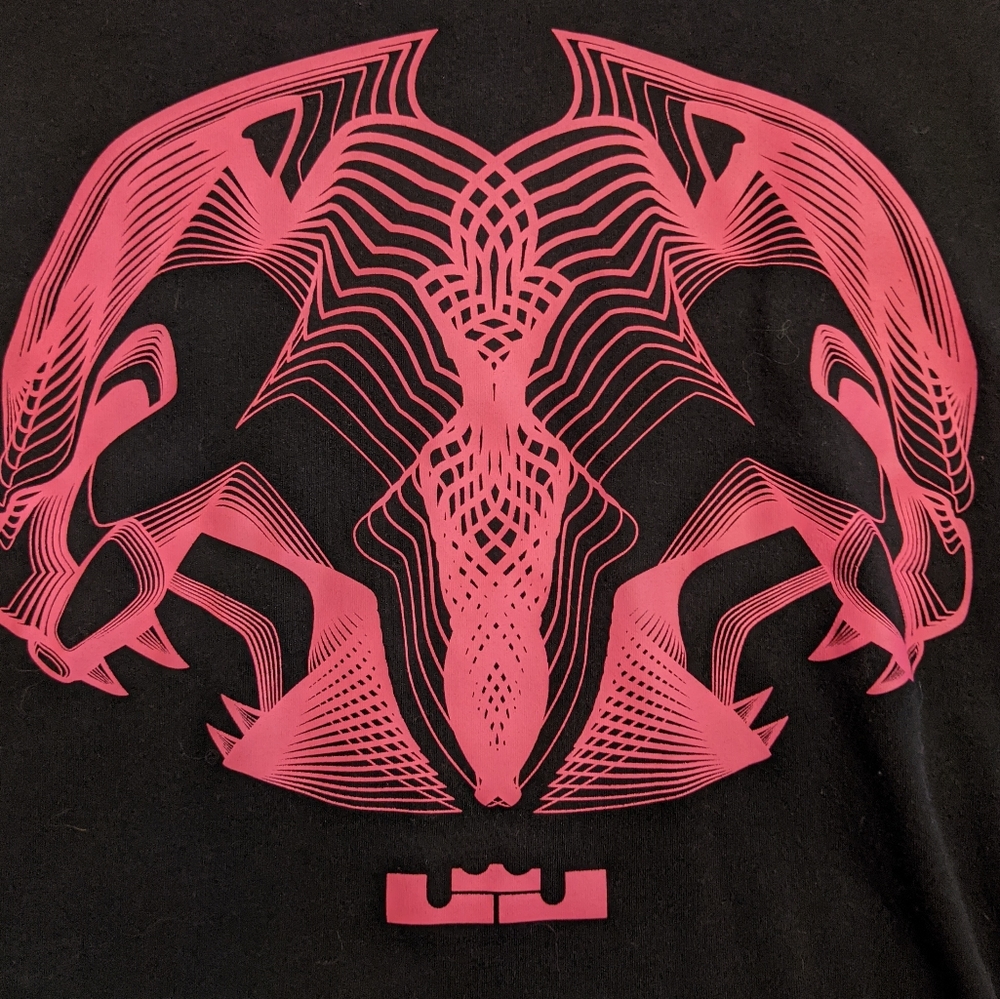 Nike LeBron James Dri-Fit T-shirt